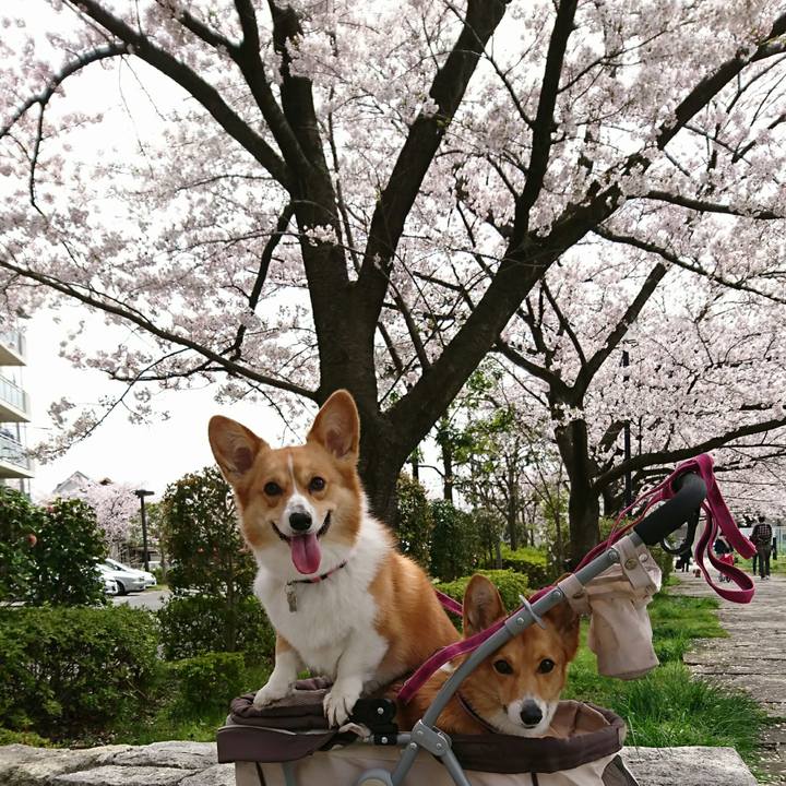 E5fd030c 6a7e 4e05 a6ec ac5f95481a60