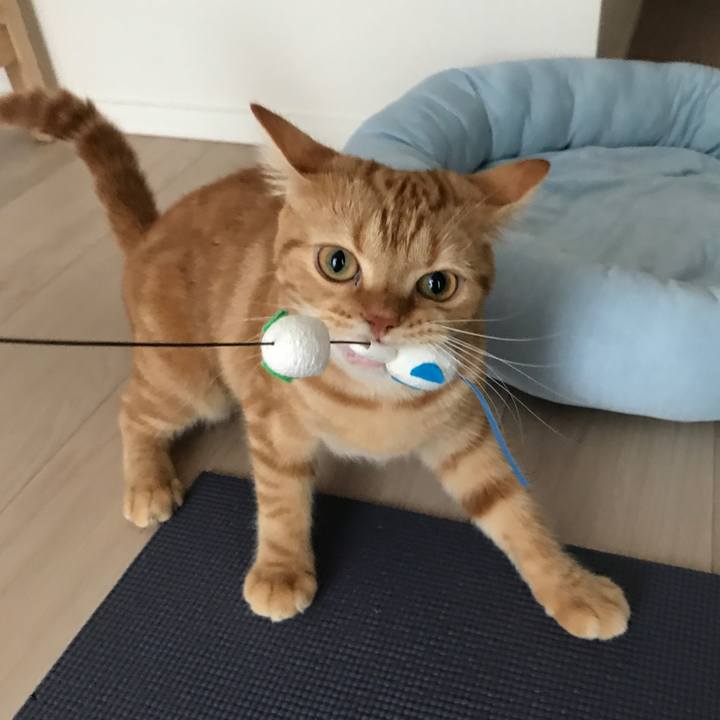 E5fdd911 59a6 47f0 8176 e93b90f7099b