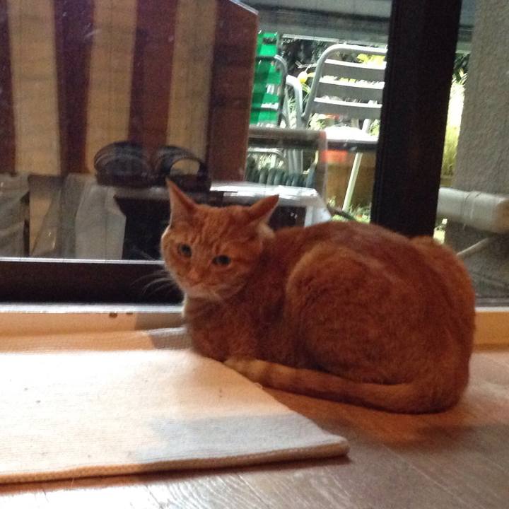 E5fe147e cfe2 4d6d 9c70 eb7e87647132