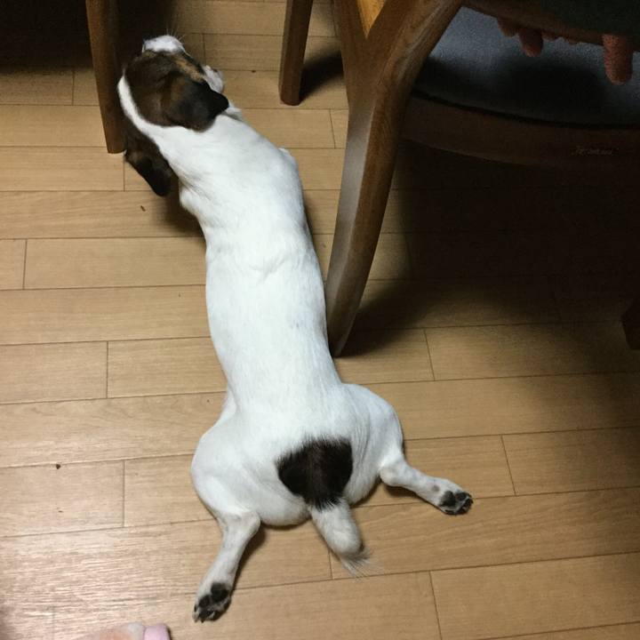 E5fe57f2 aae8 4346 b8e6 00d208238f6b