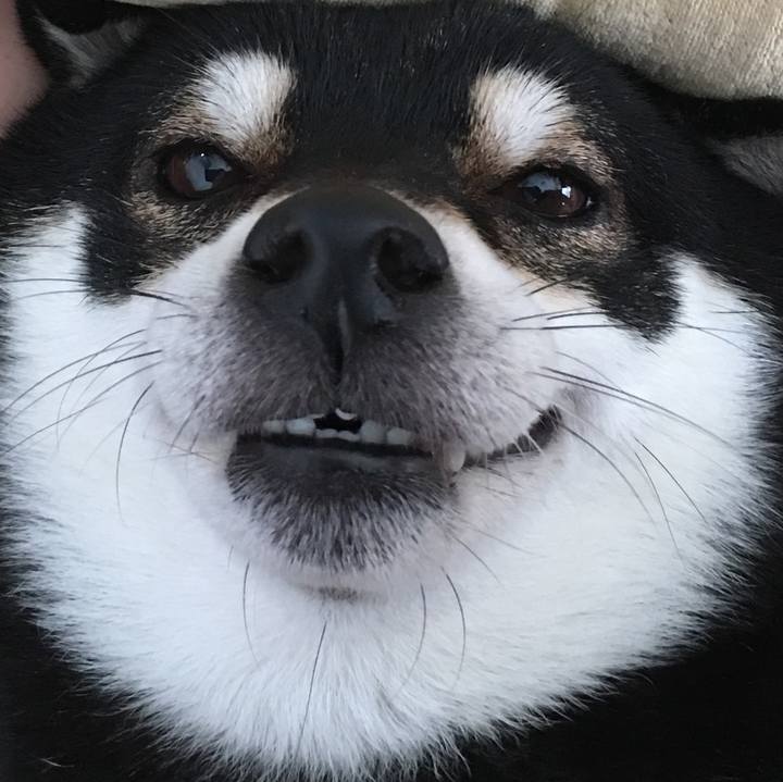 E5feb3b3 d6e4 4bce 991a 2c8a92b73246