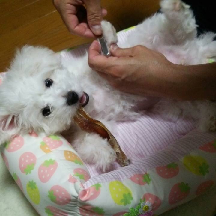 E5feef87 0934 4999 8654 aef4ba4adbe2