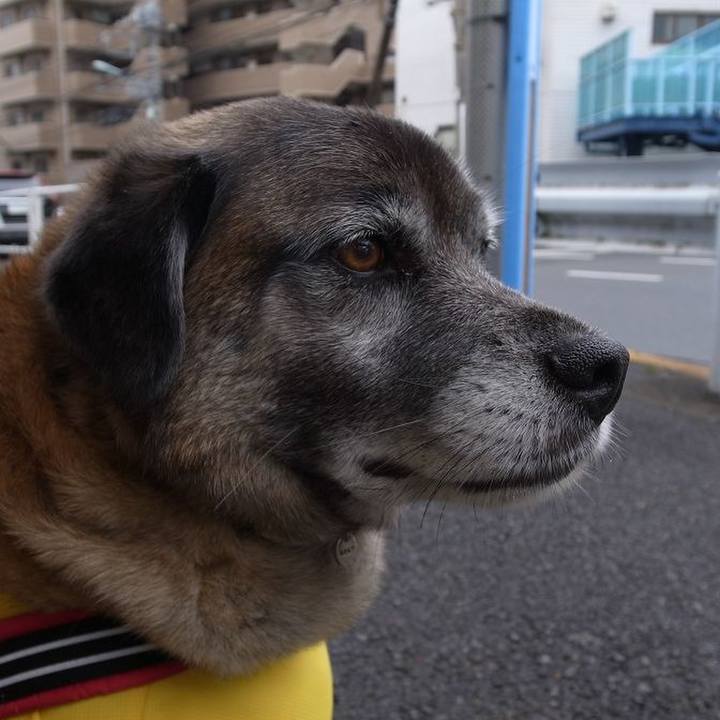 E5ffce2b 58e8 4aef 9eb0 6170fc6ddda7