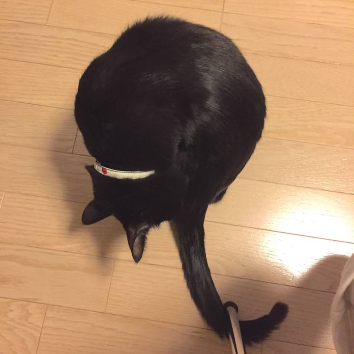 E6002faf 37a4 48b9 af72 de1f8e7d701e