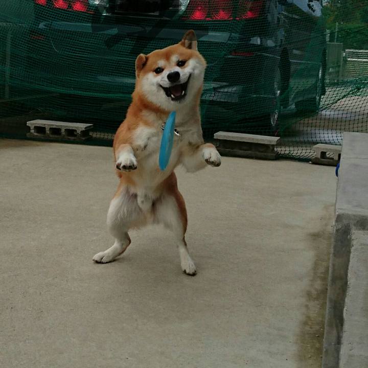 E600c862 a667 4958 9765 a4cafecbb7fe