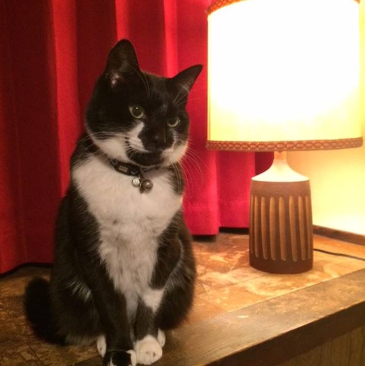 E6019816 1d13 4b3b 933c d896f3dc1a79