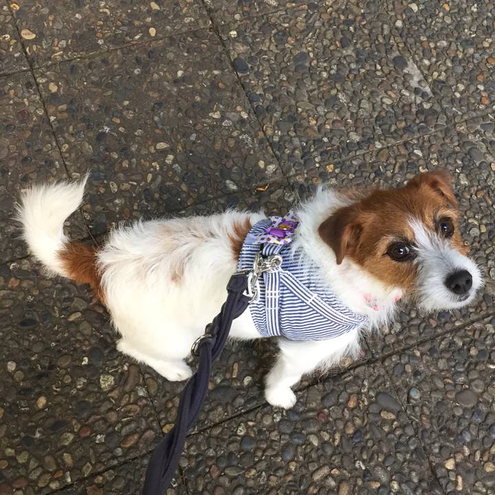 E602b495 7f93 47f5 8bdf 8aa0e4d8501c