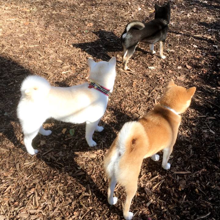 E602b618 c14b 4a86 ac21 7f16ab885986