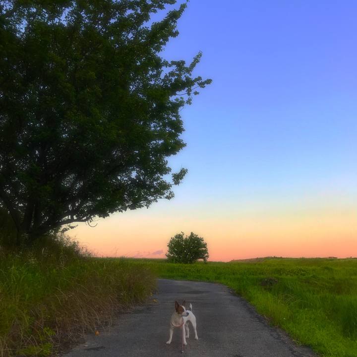 E6030c28 64f3 4ddc 8259 873fec64dfec