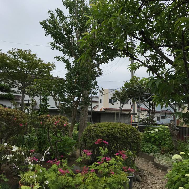 E6036b9e 9f29 4ae3 b0db 21d630f391b5