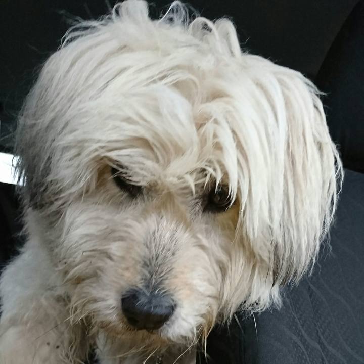 E603a79b 69f6 4d86 aaee f2edd8109935