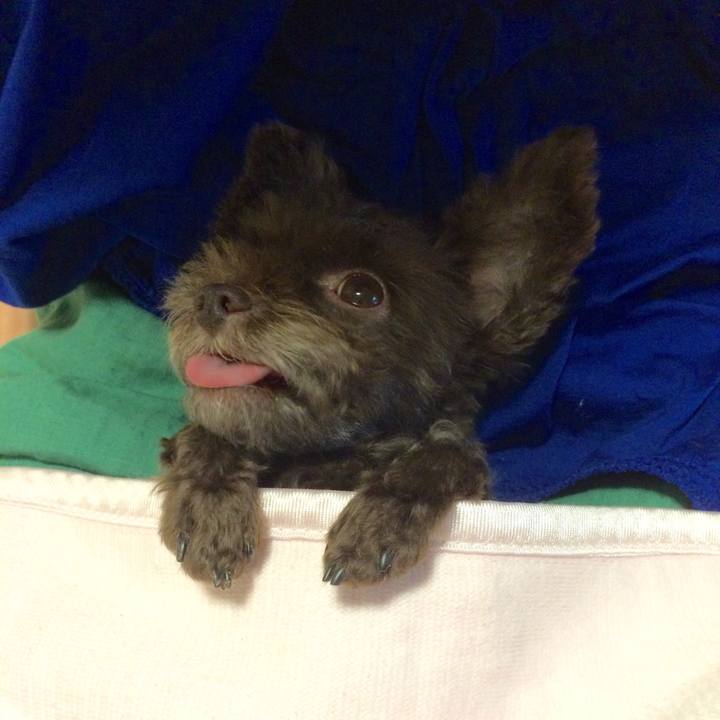 E60459c9 4e38 444b 8925 8b884ae8630b