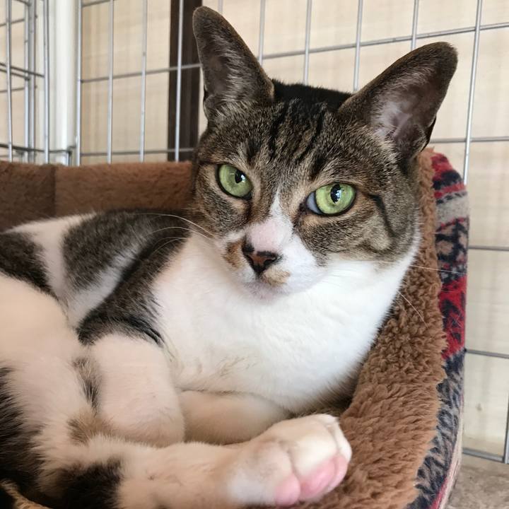 E6047dd1 bc72 4fff a346 8d9a57314f64