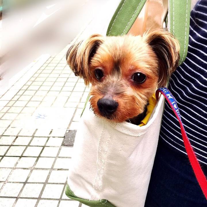 E6055fd7 0fbd 40e3 9312 1a7ce0ec035f