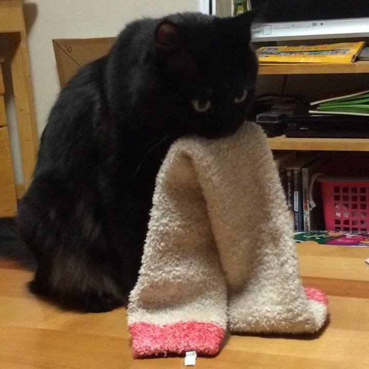 E6064f2d 13af 4cd5 91e3 122c5f619f9d