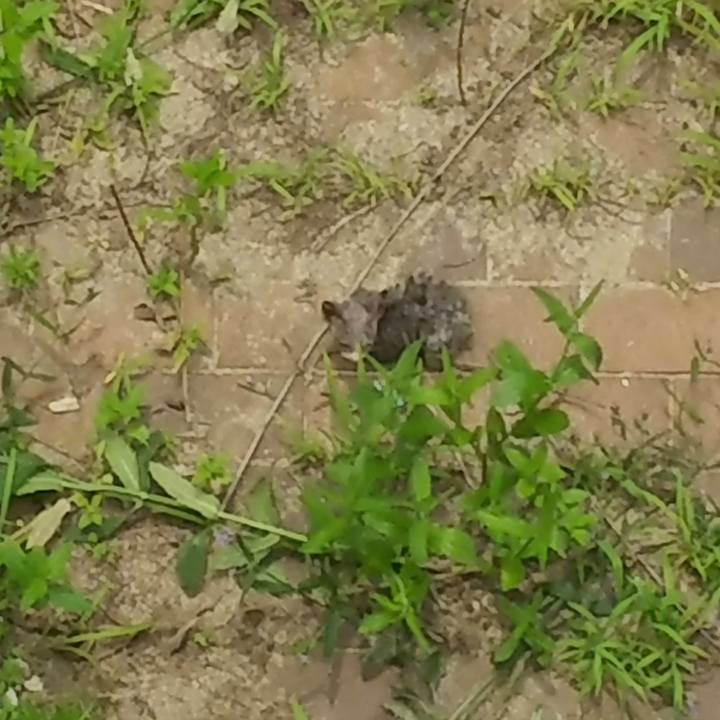 E6064f86 d253 47d9 a195 9205012311ee