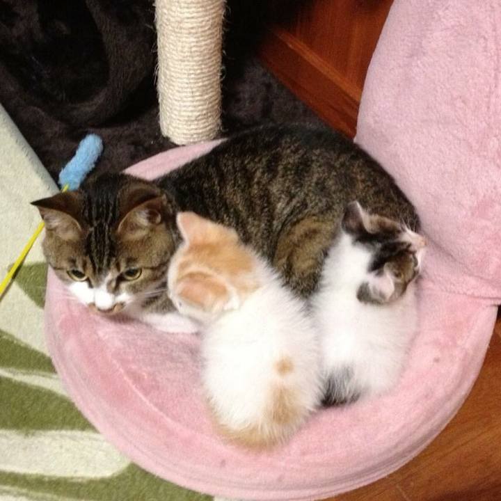 E6065fd5 c75b 463d ab40 2c70b832fb32