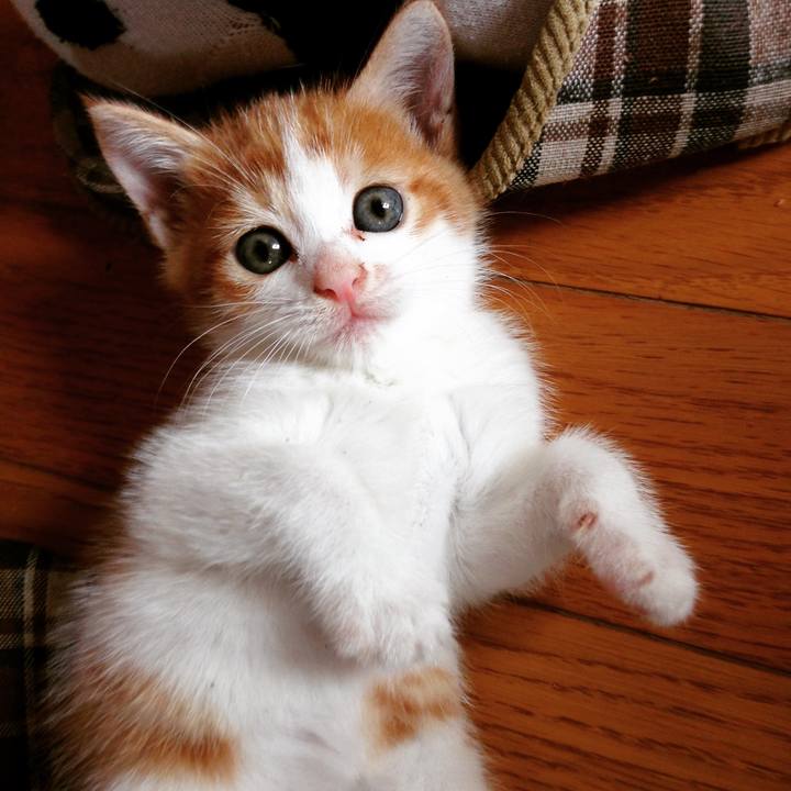 E6066b49 88dc 413a 93df ebfb91898db5