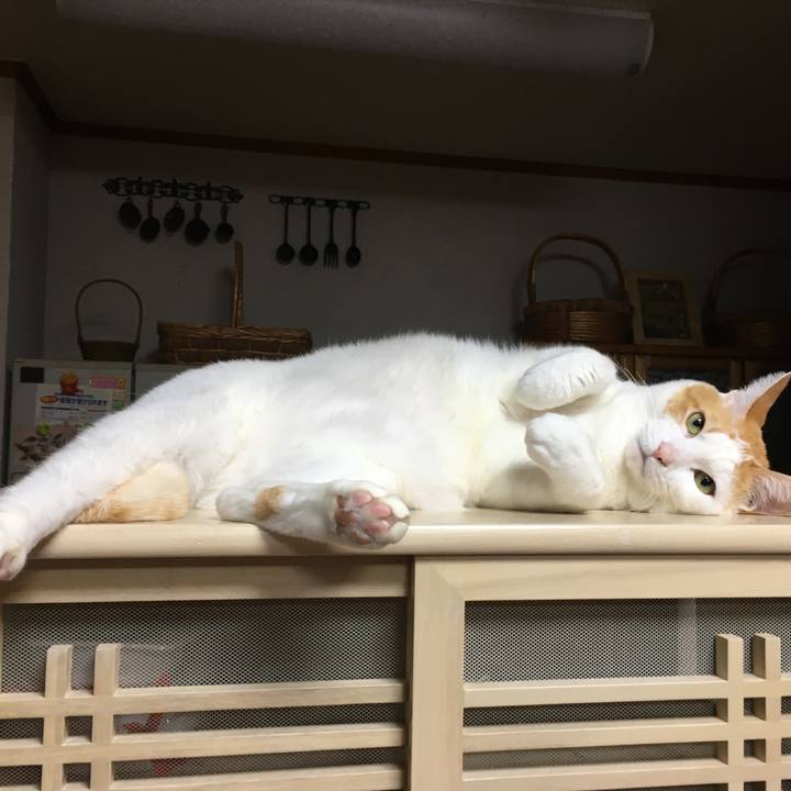 E606c076 9157 4a15 9884 d4b1e6ecb11c