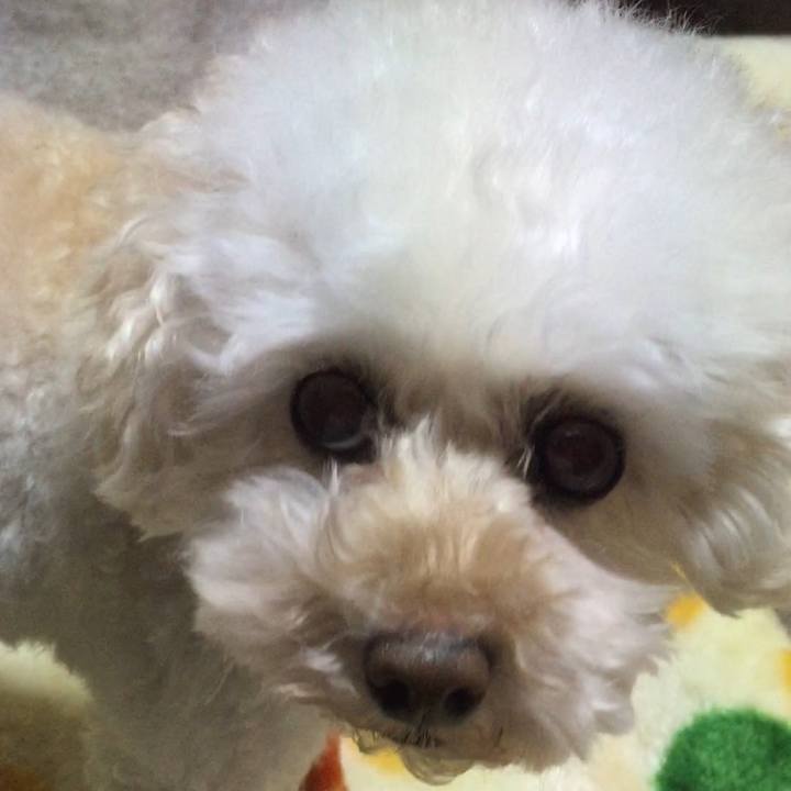 E606c7ed 1620 4cb0 80a8 cf70c54e4037