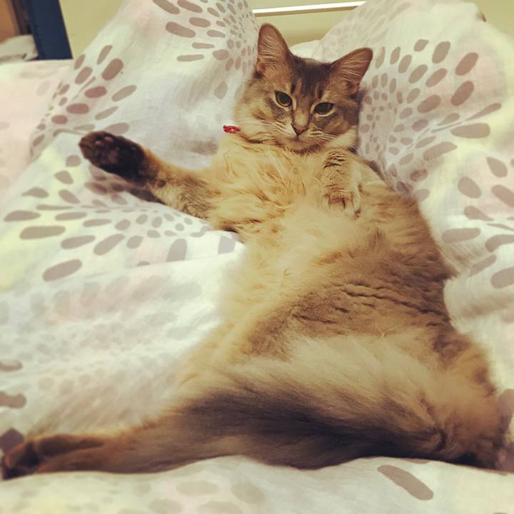 E6072b6a ad86 437e 829c 2b49a48291ea