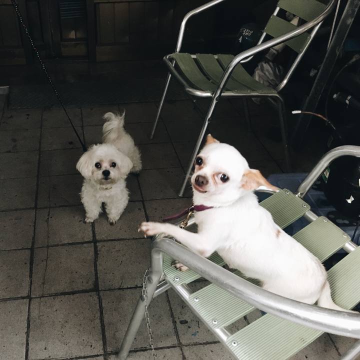 E607a0fd b815 4490 a83b aa934e521759