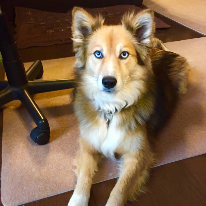 E607bd2f fb5b 4a1c a31c 22426c9242ac