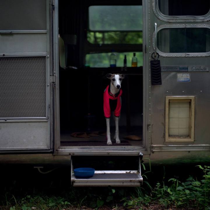 E607c1f0 13d7 4cd9 9a09 772e8dc8a4eb