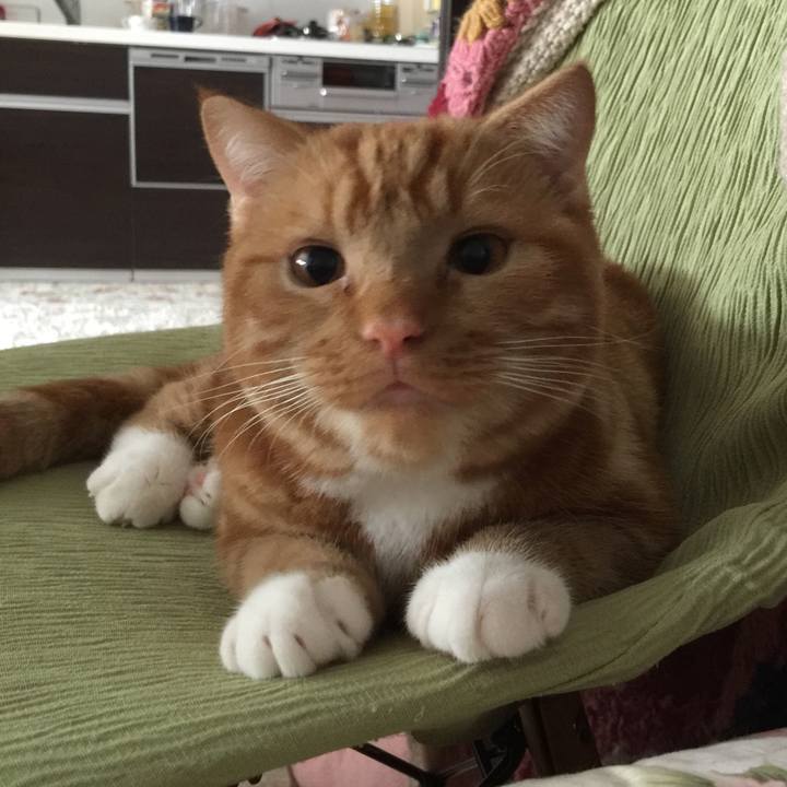 E607e9b2 6d45 4a6d 97a5 407bb8b20e90