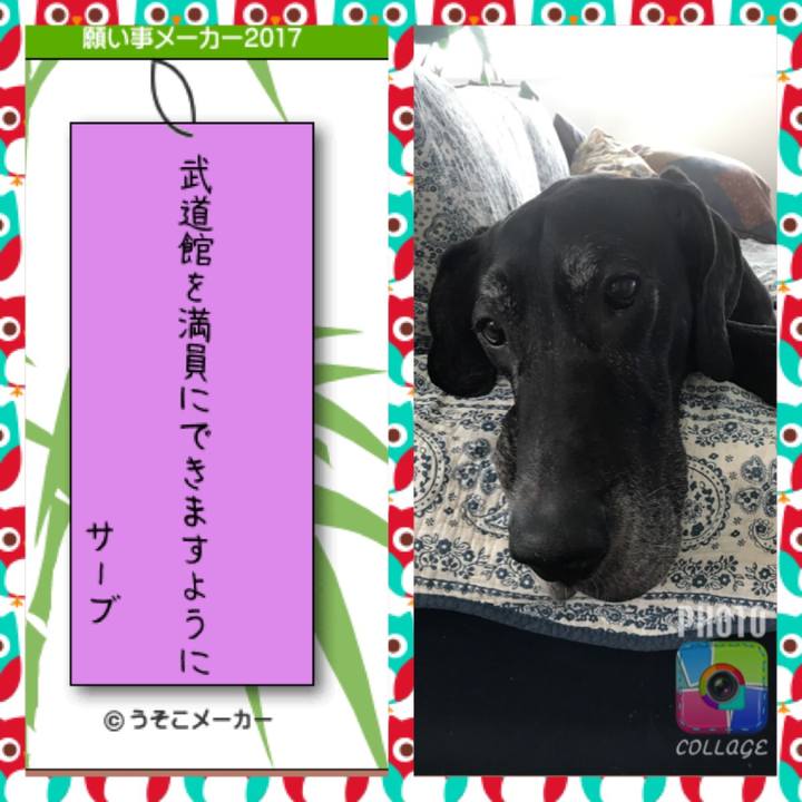 E60a12b6 afba 4b71 ba47 cb2a1c35474c