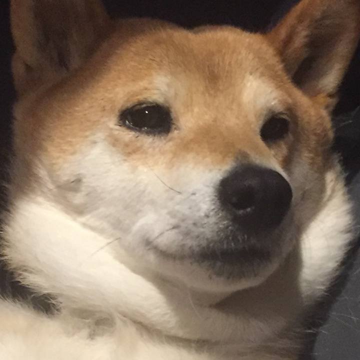 E60a28ce 6a4b 4890 ba51 61bf2db0a2d2