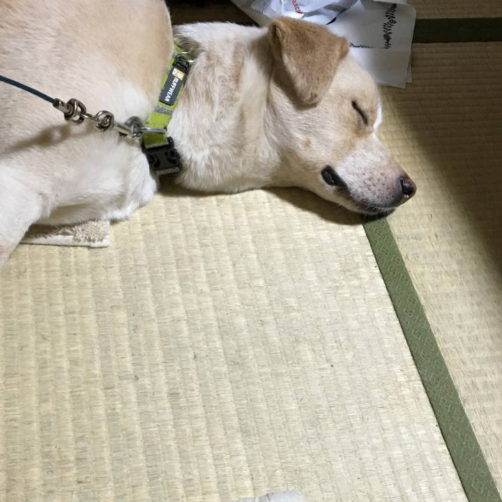 E60aa397 1bad 41a1 b13f da0c374317a1