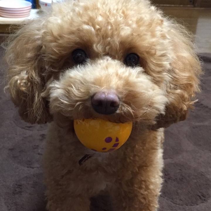 E60ad933 bb5d 43df 81e1 cbe04ff5887d