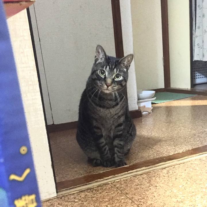 E60b3e78 3e93 4f89 a1fc 84eb17abc409