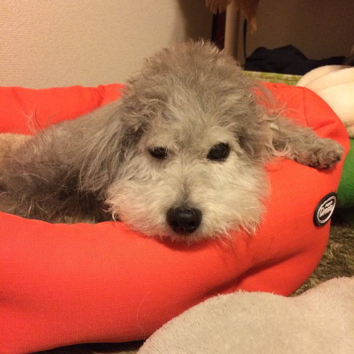 E60b7219 068a 4ae5 bb7b cdd8aefed226