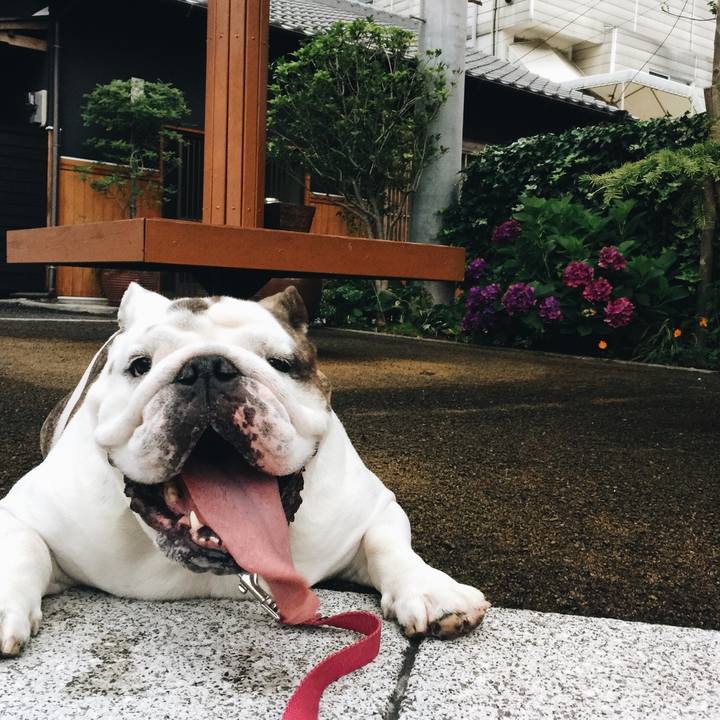 E60be83f 6a33 4a17 8b34 59090ac2709e