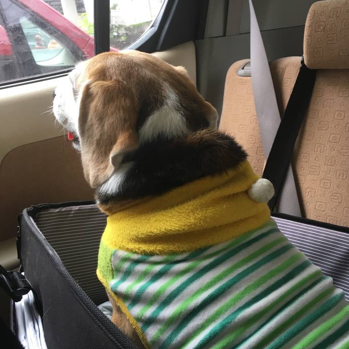 E60c03b5 f25b 4bdd af79 71faa619a480