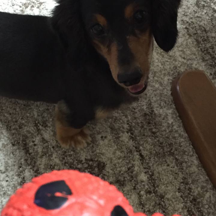 E60c3dd2 fef4 4b1e 8051 2a479c4bc642