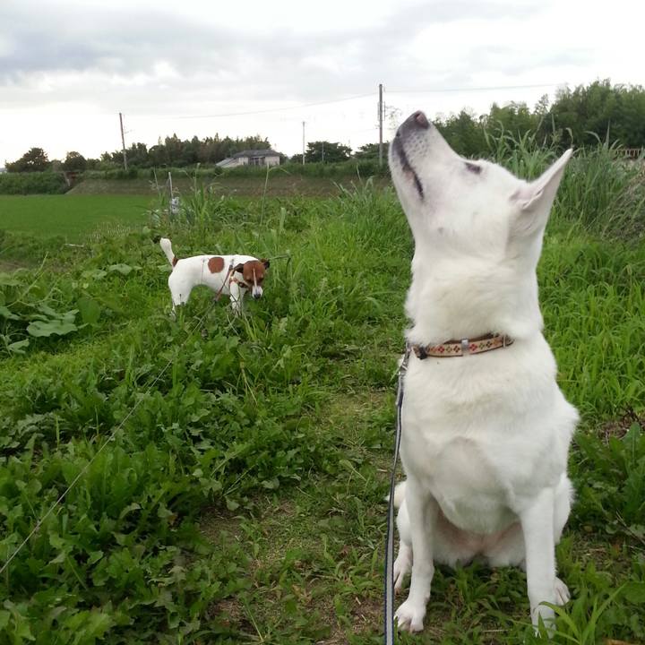 E60c729e 58b9 4ae4 8375 e9b1e2de3fbc