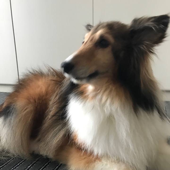 E60cba5f 1d30 4d59 96a8 39c54c1041f8