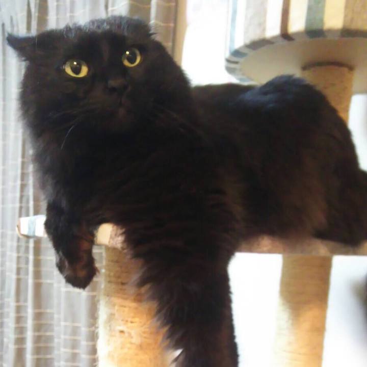 E60d2643 614f 4363 b5b5 33a1e0a793c5