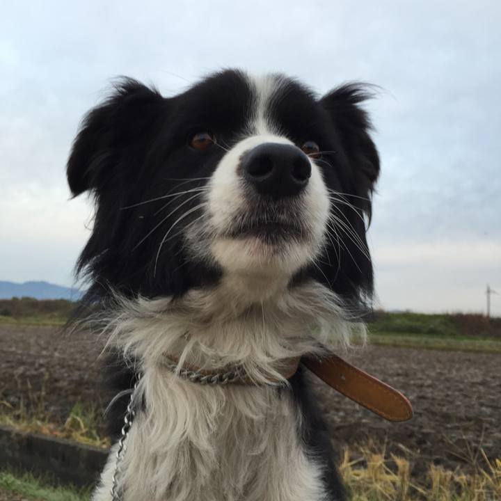 E60d26b0 ffae 4e85 bd4f 9e732782e226