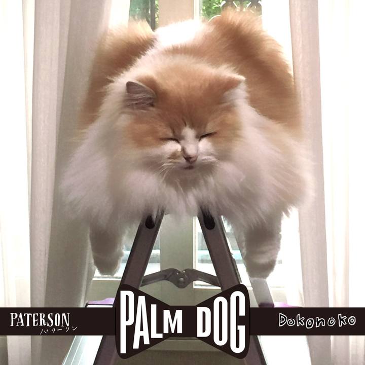 E60d5927 2560 4db6 9638 acbade1c08d4