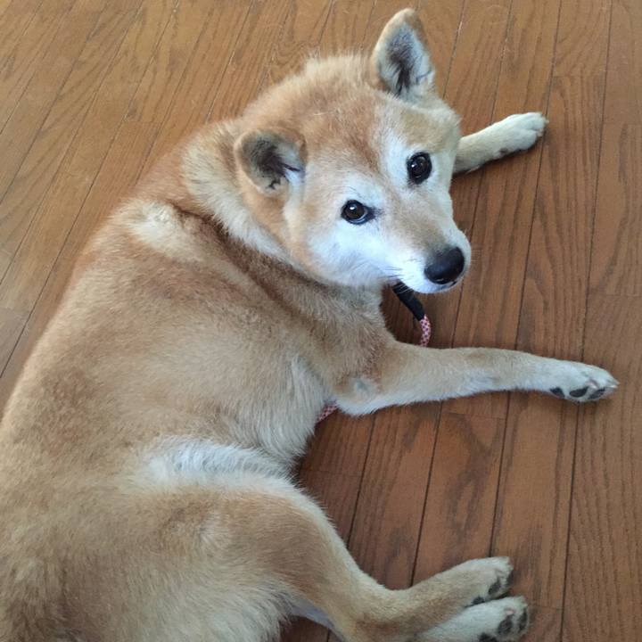 E60d7b21 5bec 4e3d af06 edb878d54492