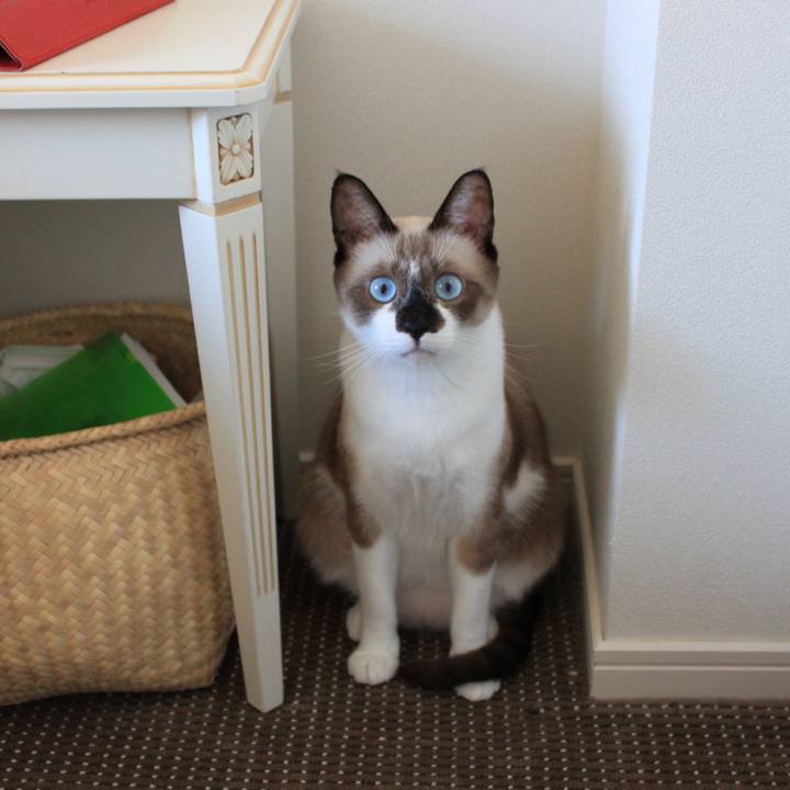 E60df1ac fa06 463f b62c 68faa2d77efb