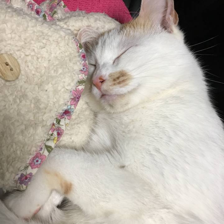 E60e3980 e343 46b4 a92a 197c2e94aff0