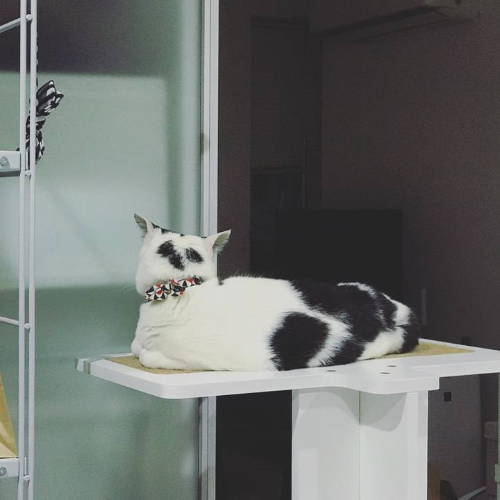 E60e85b9 d701 4b9a be85 da1fe63df4ae