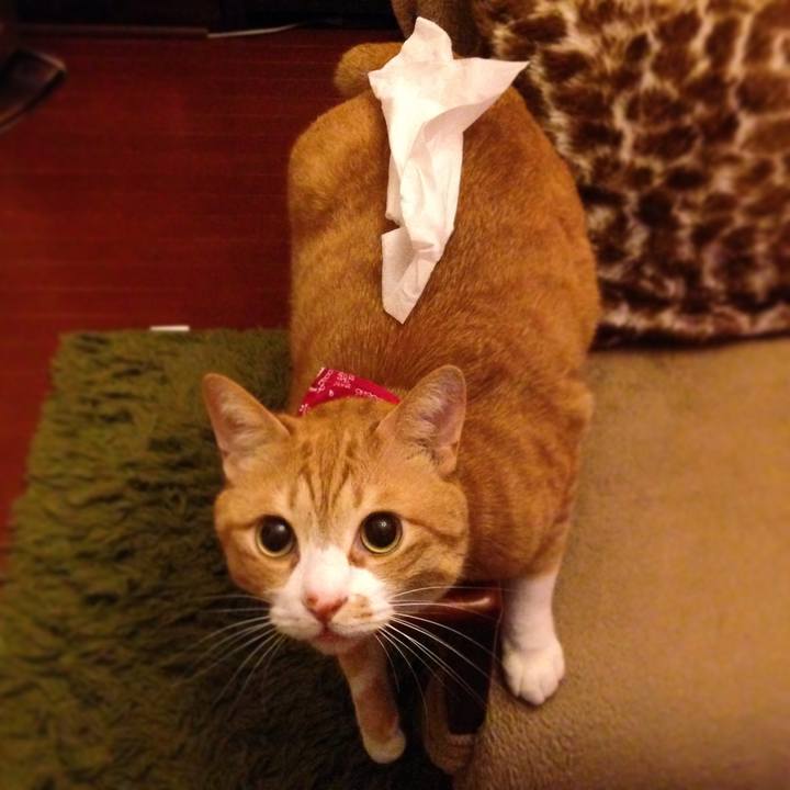 E60e96b8 b1ae 47df b88c 92116ea4f7b3