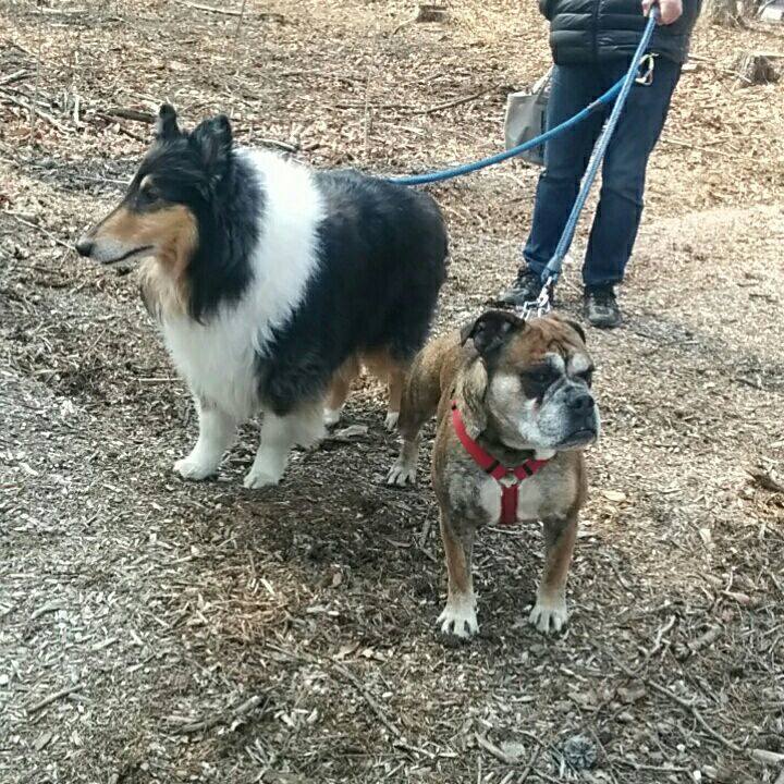 E60eb834 bd8b 4766 9be5 2a91d3c2175a