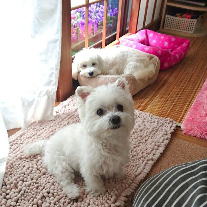 E60ebec9 a6c0 4c02 9501 ac4945f03fcb